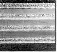 Foto 9 Diese Aufnahme zeigt eine organische Trägerplatte/Laminat-Paneele bei Feuchtigkeitseinwirkung 