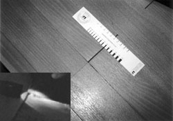Bild 3: Schmieriger Klebstoff unter einer geöffneten PVC-Designbelag-Fuge